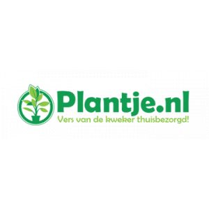 Plantje.nl logo vandaag besteld, morgen in huis